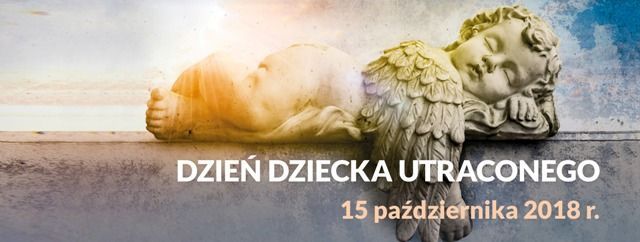 DDU Naglowek